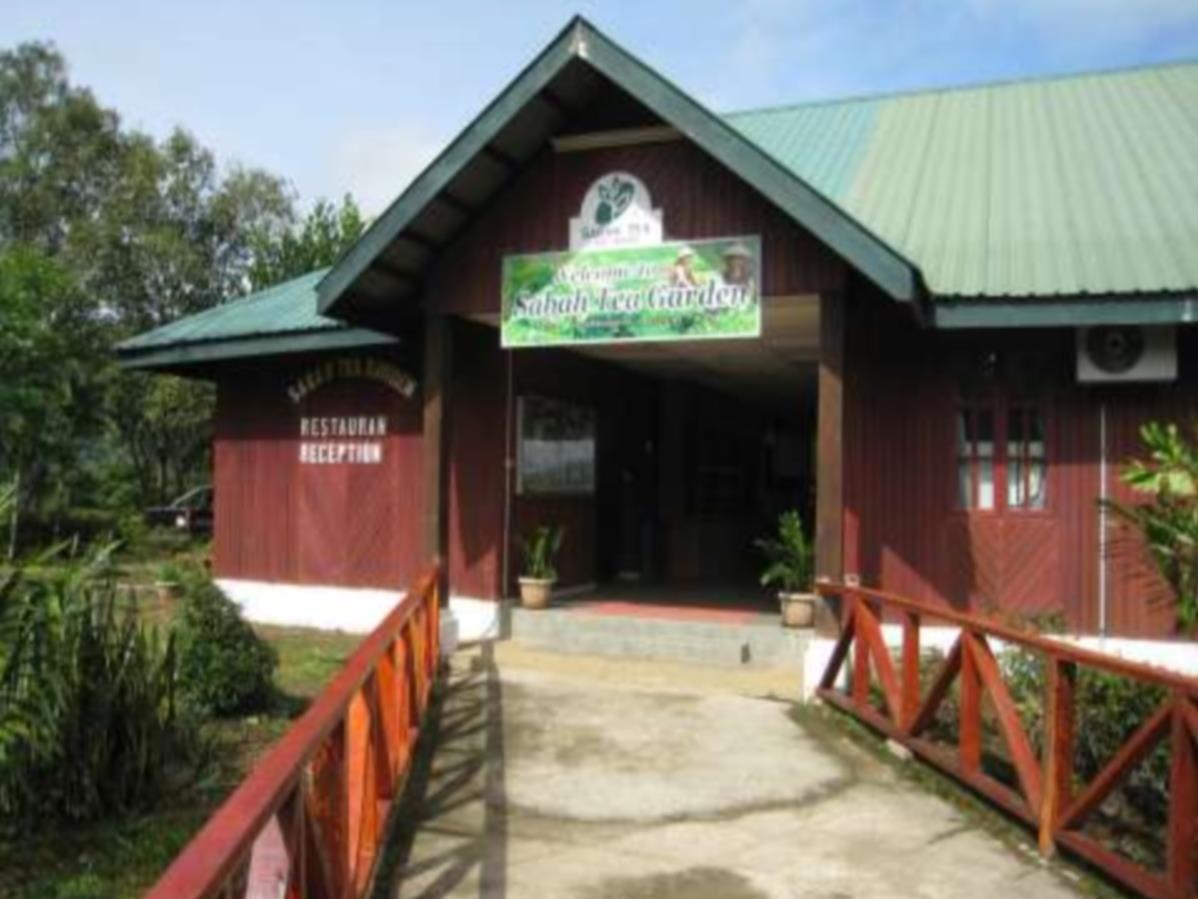 Sabah Tea Garden-Longhouses Ranau Dış mekan fotoğraf