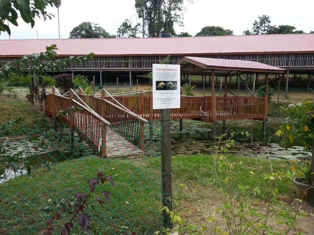 Sabah Tea Garden-Longhouses Ranau Dış mekan fotoğraf