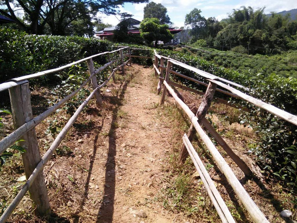 Sabah Tea Garden-Longhouses Ranau Dış mekan fotoğraf