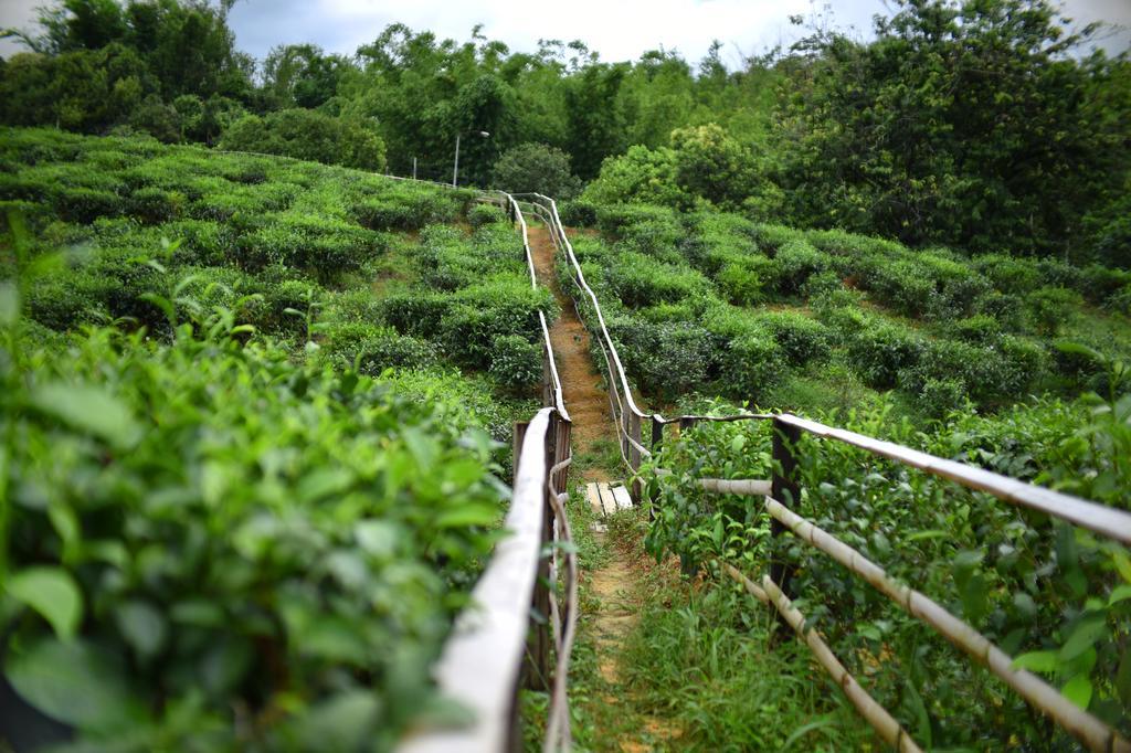 Sabah Tea Garden-Longhouses Ranau Dış mekan fotoğraf