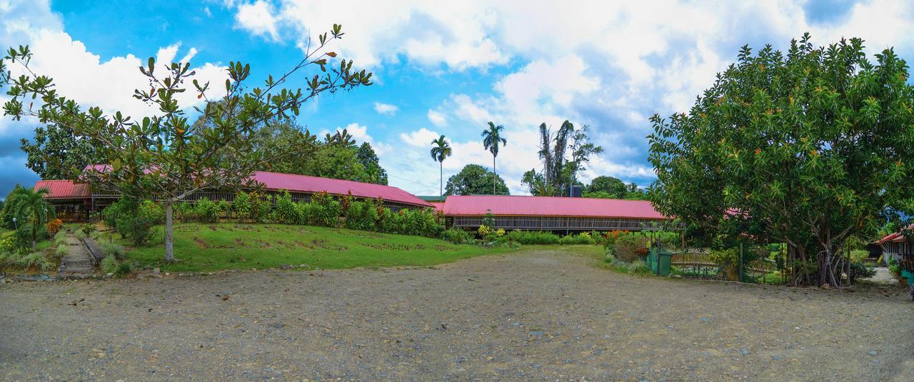 Sabah Tea Garden-Longhouses Ranau Dış mekan fotoğraf